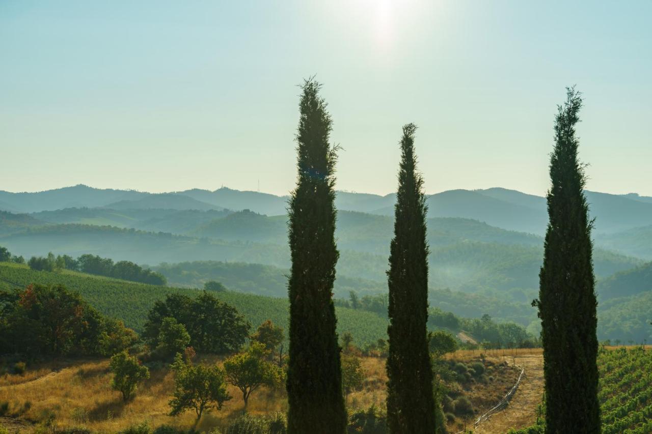 Celle Di Lecchi Nel Chianti Βίλα San Sano Εξωτερικό φωτογραφία