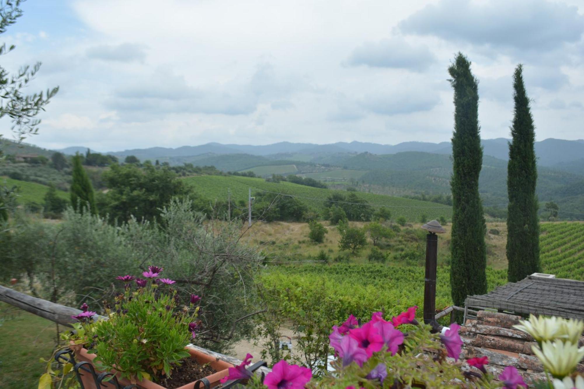 Celle Di Lecchi Nel Chianti Βίλα San Sano Εξωτερικό φωτογραφία