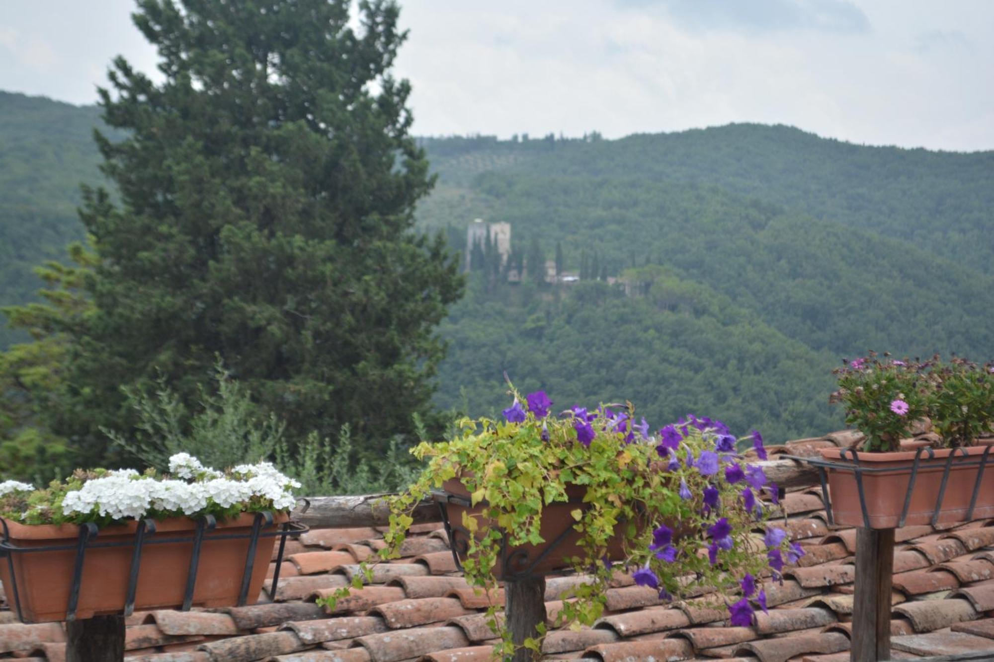 Celle Di Lecchi Nel Chianti Βίλα San Sano Εξωτερικό φωτογραφία