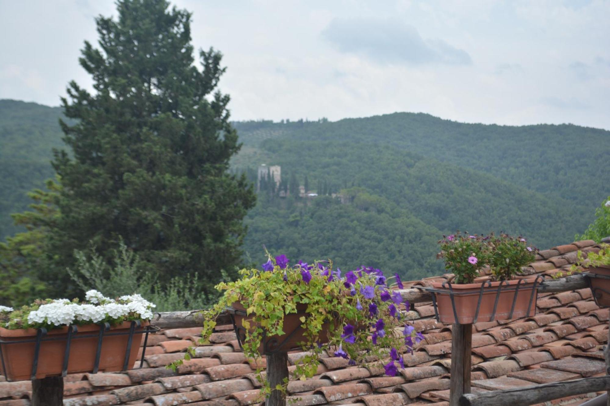 Celle Di Lecchi Nel Chianti Βίλα San Sano Εξωτερικό φωτογραφία