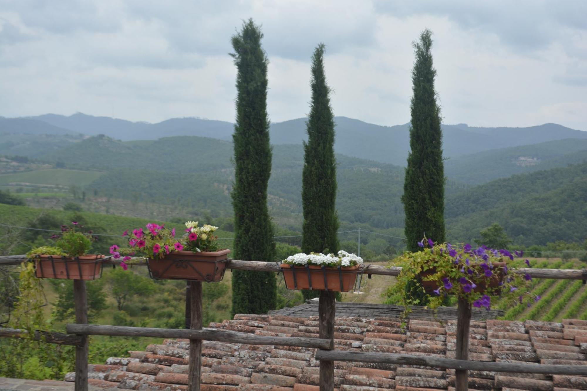 Celle Di Lecchi Nel Chianti Βίλα San Sano Εξωτερικό φωτογραφία